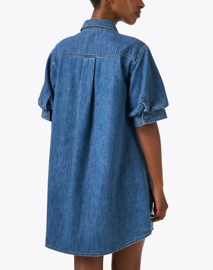 the-play-denim-dress_back.jpeg