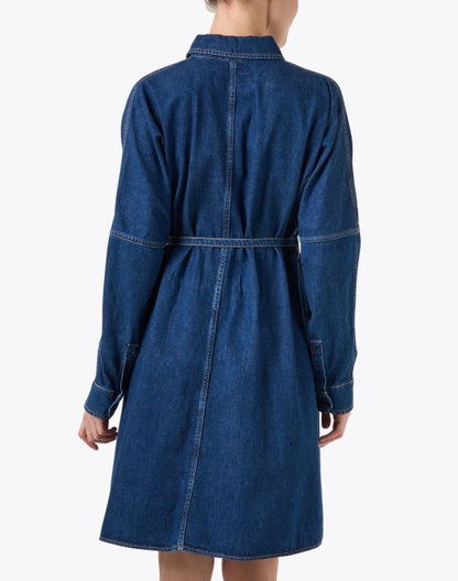 balenio-denim-dress_back.jpeg