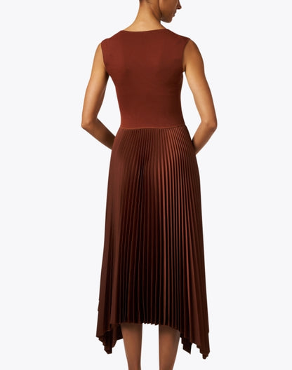 dera-mahogany-brown-pleated-dress_back.jpeg