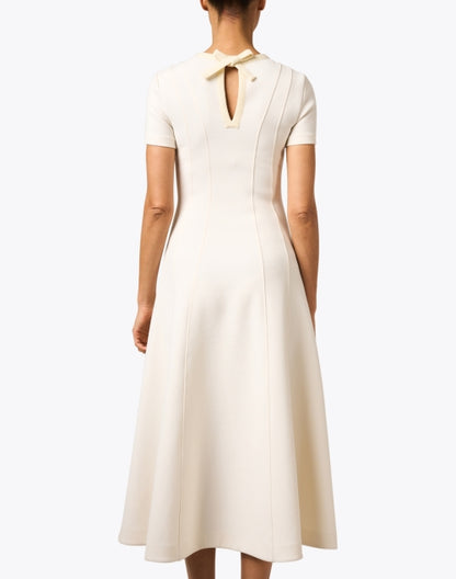 ivory-fit-and-flare-dress_back.jpeg