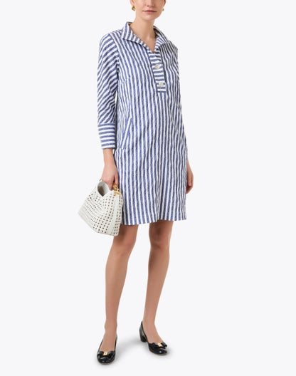 indigo-and-white-striped-dress_look.jpeg