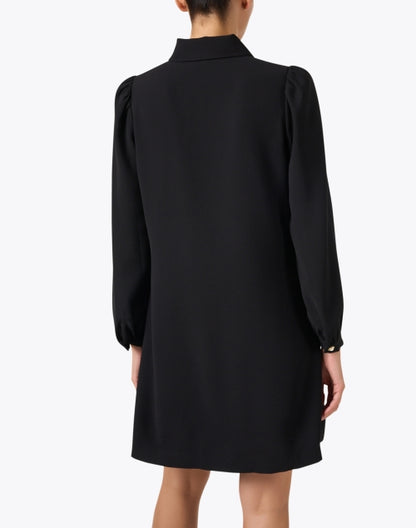 rolfo-black-dress_back.jpeg