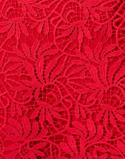 taryn-red-lace-dress_fabric.jpeg