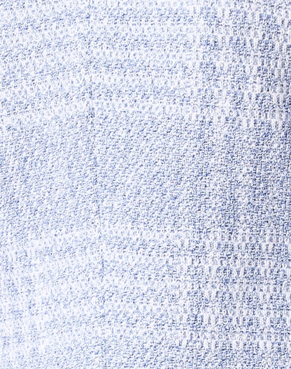 olbia-blue-and-white-plaid-jacket_fabric.jpeg