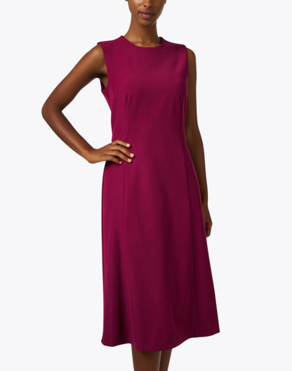 fuchsia-fit-and-flare-dress_front.jpeg