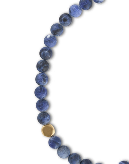 sodalite-and-gold-necklace_front.jpeg