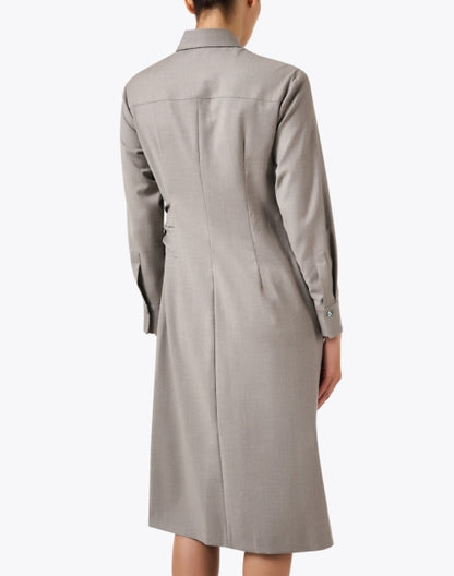 ladispoli-taupe-knit-shirt-dress_back.jpeg