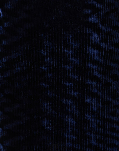 phoebe-blue-velvet-dress_fabric.jpeg