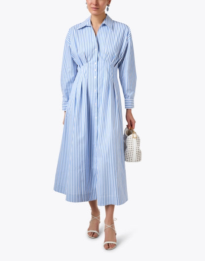 sutton-blue-and-white-striped-shirt-dress_look.jpeg