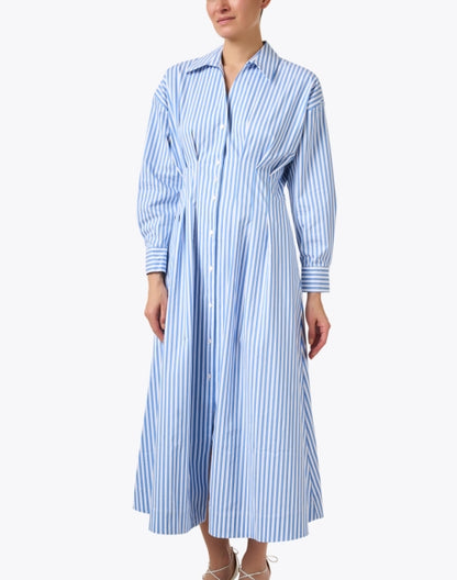 sutton-blue-and-white-striped-shirt-dress_front.jpeg