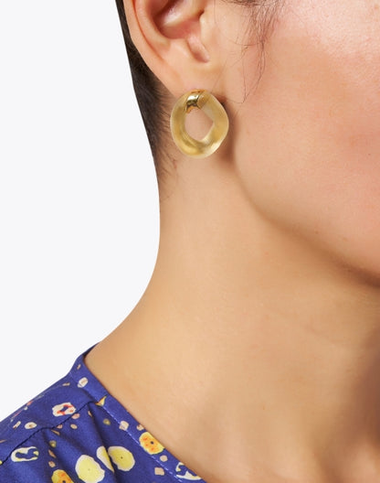 gold-lucite-link-earrings_look.jpeg