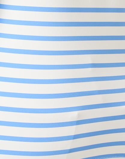 garde-blue-and-white-striped-jersey-top_fabric.jpeg