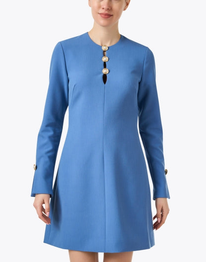 blue-button-twill-dress_front.jpeg