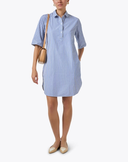 leonie-blue-and-white-striped-cotton-shirt-dress_look.jpeg