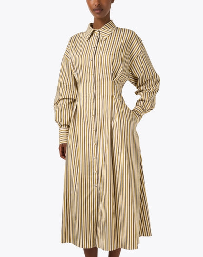 flora-multi-striped-shirt-dress_front.jpeg