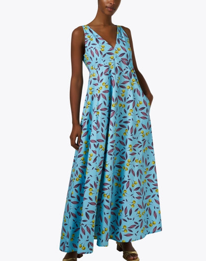 blue-print-cotton-dress_front.jpeg