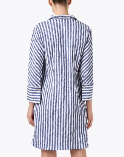 indigo-and-white-striped-dress_back.jpeg