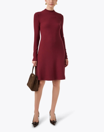 bordeaux-long-sleeve-cozy-rib-mock-neck-dress_look.jpeg