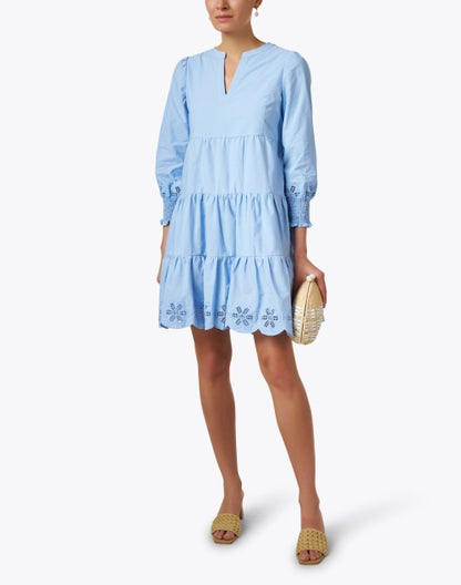 blue-embroidered-cotton-dress_look.jpeg