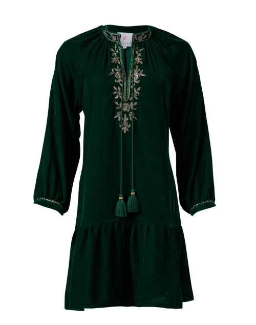 sloane-green-embroidered-velvet-dress_product.jpeg