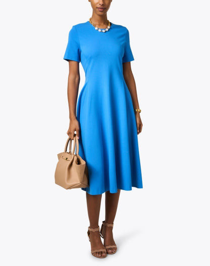 romy-blue-fit-and-flare-dress_look.jpeg