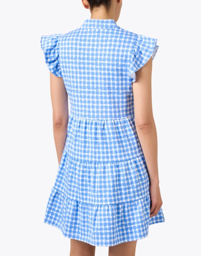 blue-gingham-dress_back.jpeg