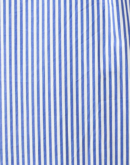 leonie-blue-and-white-striped-cotton-shirt-dress_fabric.jpeg