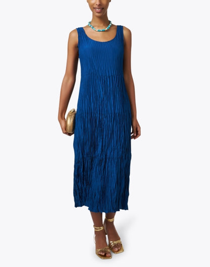 blue-crushed-silk-dress_look.jpeg