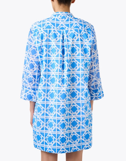 helen-blue-rattan-print-dress_back.jpeg