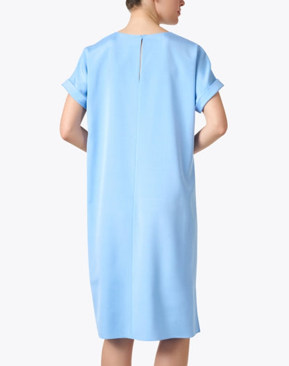 blue-silk-shift-dress_back.jpeg