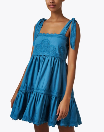 blue-embroidered-cotton-dress_front.jpeg