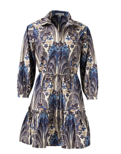 robin-tan-and-blue-print-cotton-shirt-dress_product.jpeg