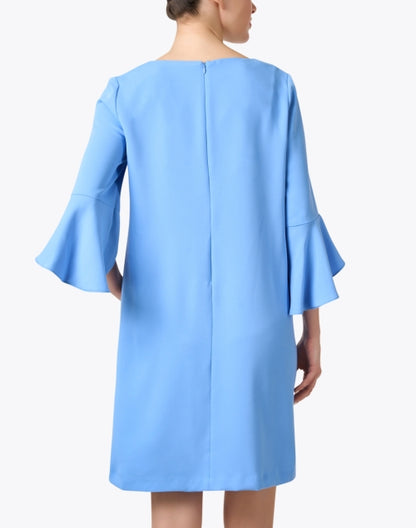 blue-shift-dress_back.jpeg