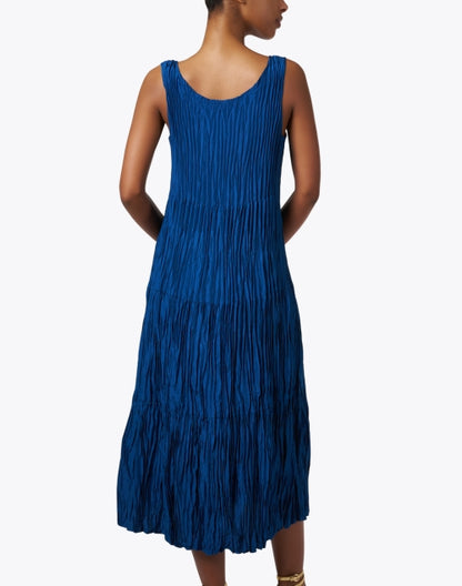 blue-crushed-silk-dress_back.jpeg