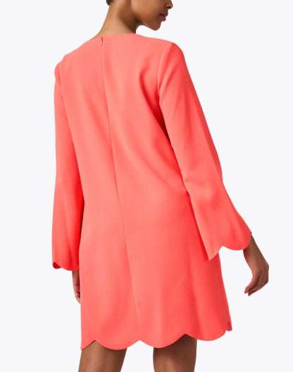 ruoda-coral-shift-dress_back.jpeg