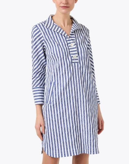 indigo-and-white-striped-dress_front.jpeg