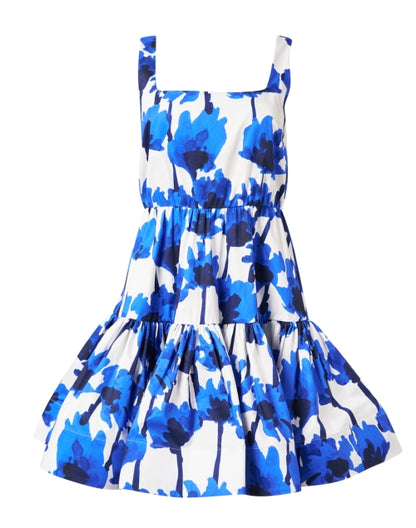 blue-and-white-print-cotton-dress_product.jpeg