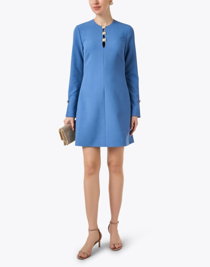 blue-button-twill-dress_look.jpeg