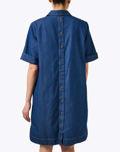 aileen-denim-dress_back.jpeg