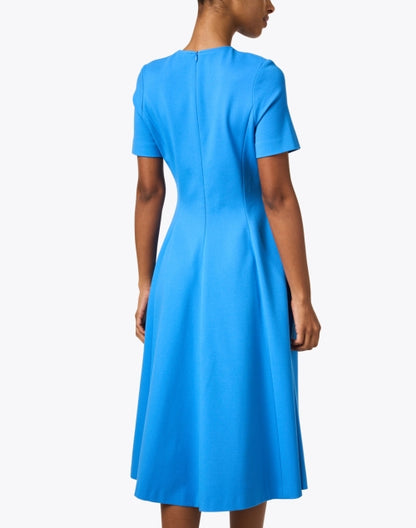 romy-blue-fit-and-flare-dress_back.jpeg