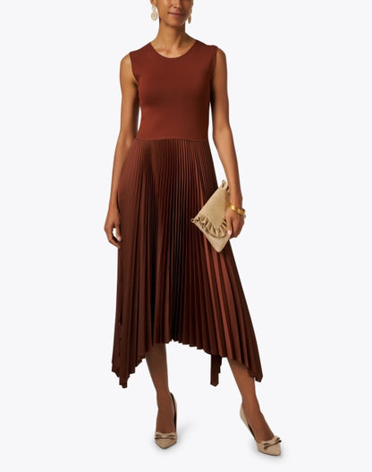 dera-mahogany-brown-pleated-dress_look.jpeg