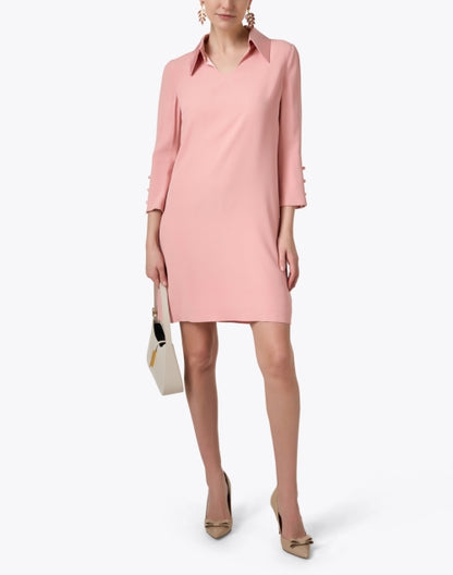 sandy-pink-polo-dress_look.jpeg