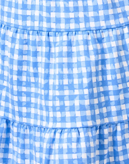 blue-gingham-dress_fabric.jpeg