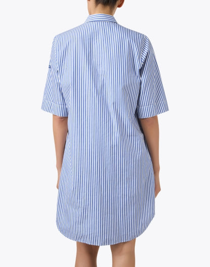 leonie-blue-and-white-striped-cotton-shirt-dress_back.jpeg