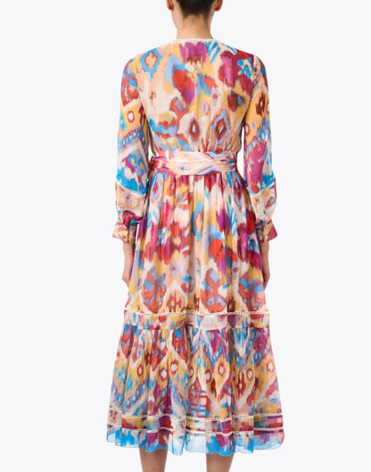 sierra-multicolor-ikat-silk-dress_back.jpeg