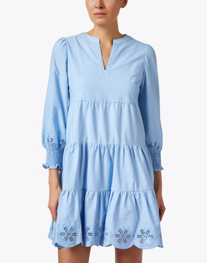 blue-embroidered-cotton-dress_front.jpeg