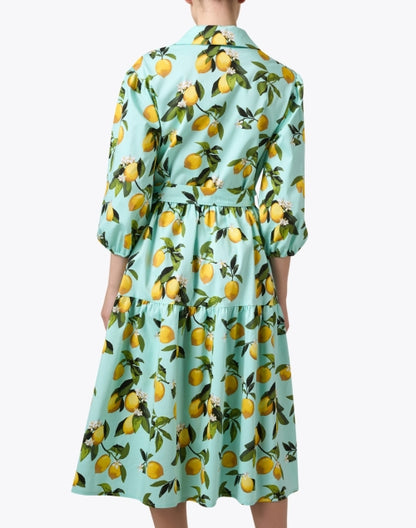 cassie-lemon-print-dress_back.jpeg