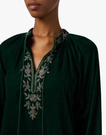 sloane-green-embroidered-velvet-dress_extra_1.jpeg