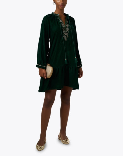 sloane-green-embroidered-velvet-dress_look.jpeg