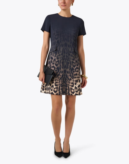 ombre-leopard-print-shift-dress_look.jpeg